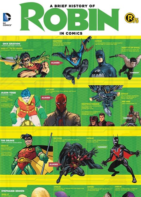 robin dc comics|robin nicknames dc.